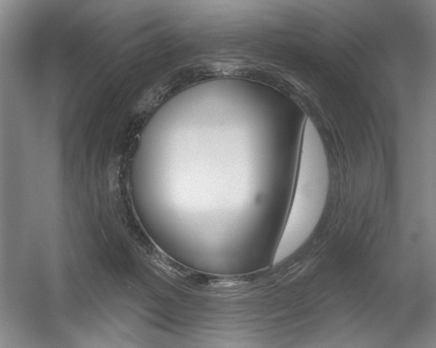 X0000056010221200508190902
