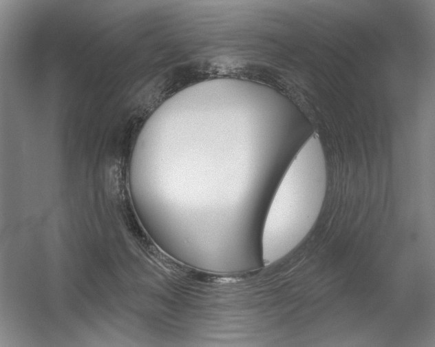 X0000056010222200508190902