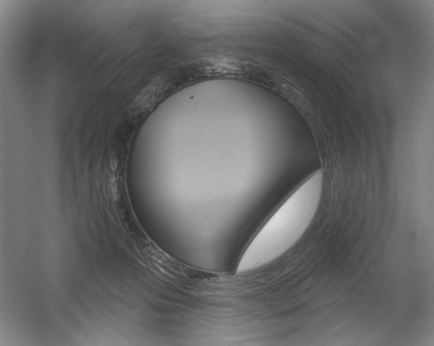 X0000056010223200508190902
