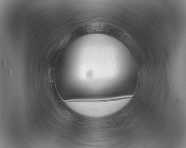 X0000056010224200508190902