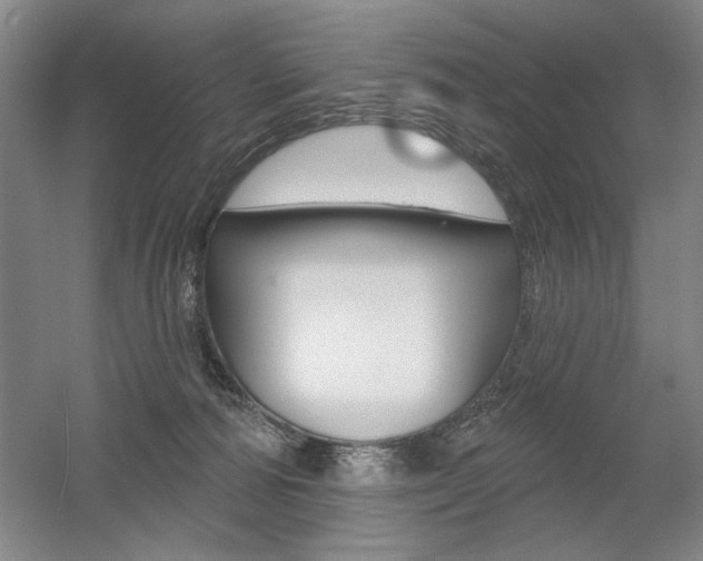 X0000056010226200508190902
