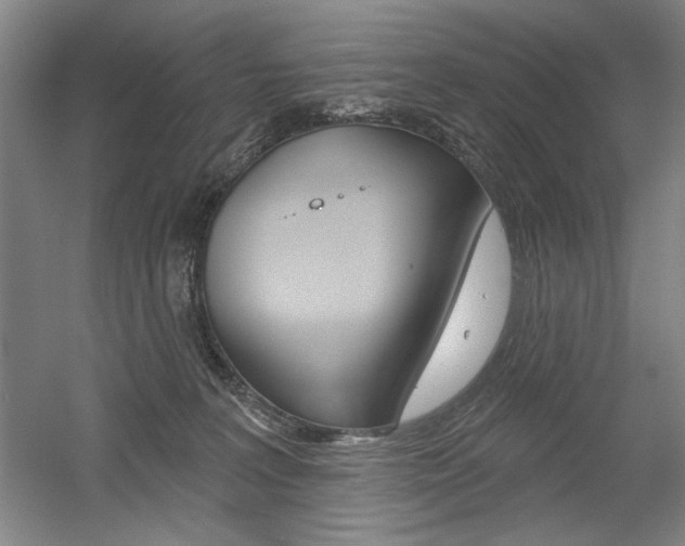 X0000056010227200508190902