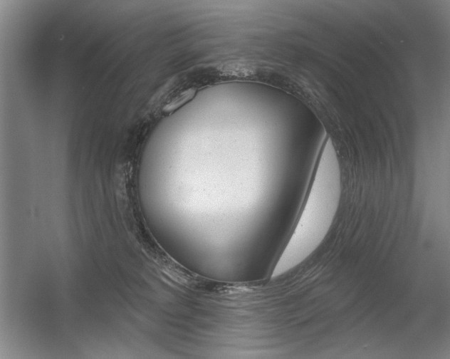 X0000056010229200508190902