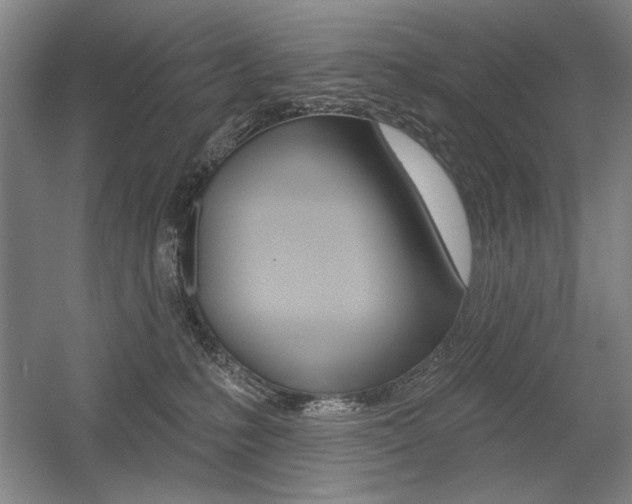 X0000056010231200508190902