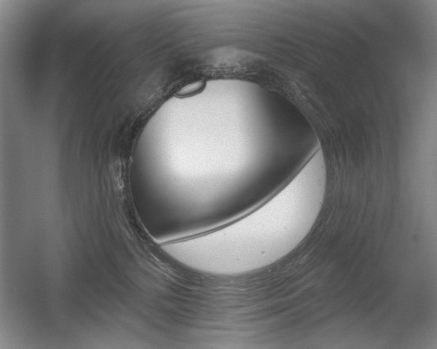 X0000056010232200508190902