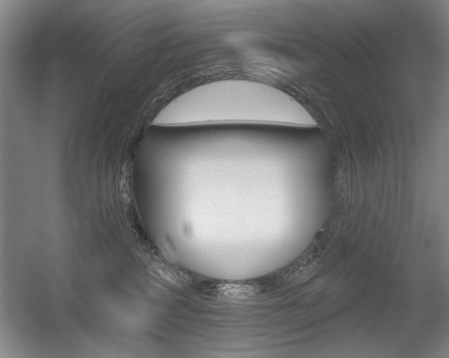 X0000056010234200508190902