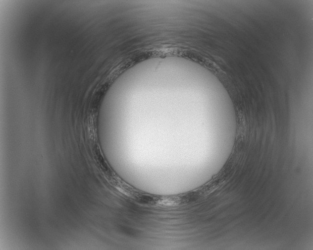 X0000056010236200508190902