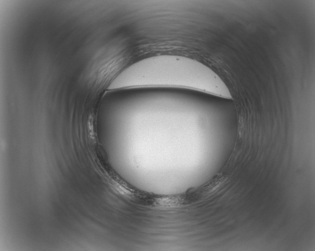 X0000056010238200508190902