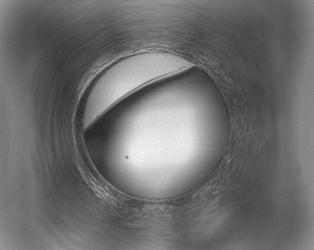 X0000056010242200508190901