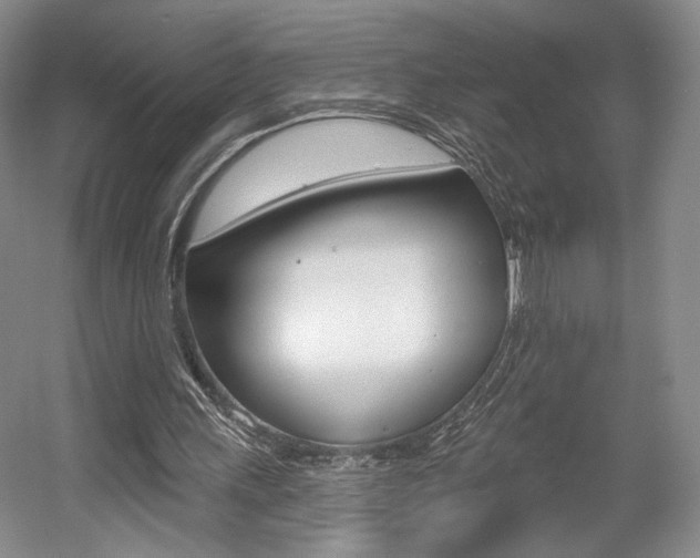 X0000056010243200508190901