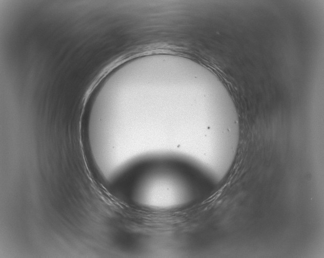 X0000056010244200508190901