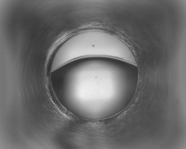 X0000056010245200508190901