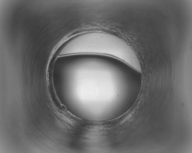 X0000056010246200508190901