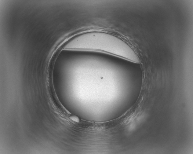 X0000056010247200508190901