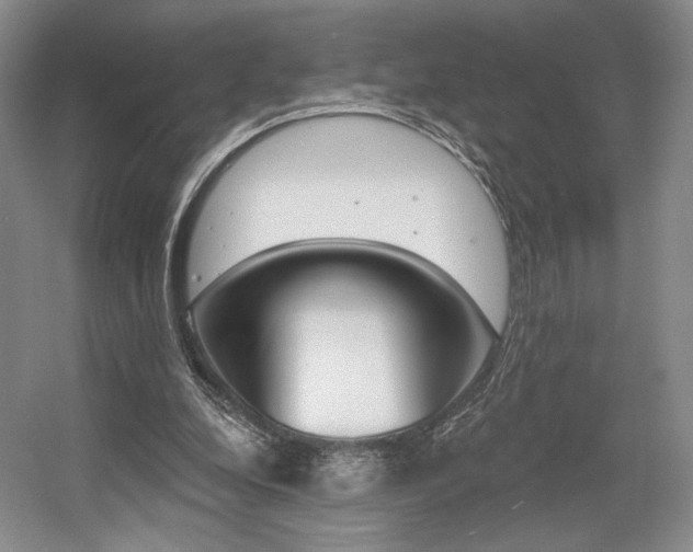 X0000056010248200508190901