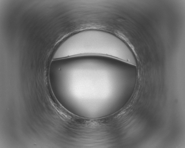 X0000056010249200508190901