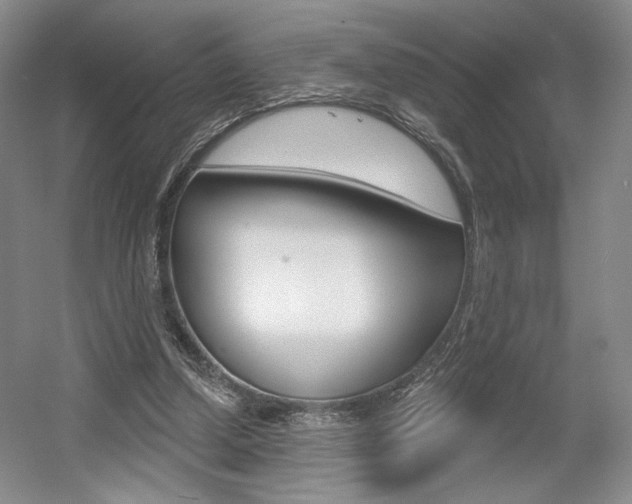 X0000056010250200508190901