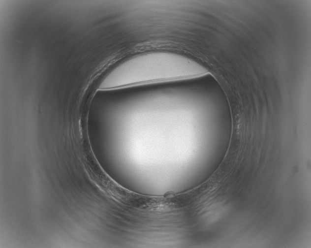 X0000056010254200508190901