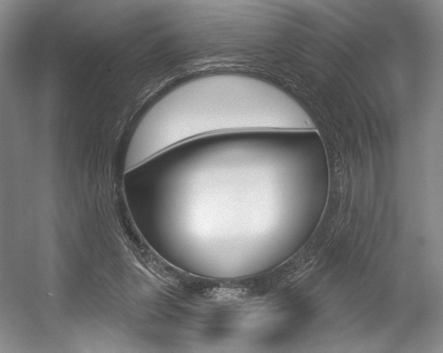 X0000056010255200508190901