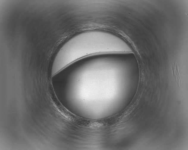 X0000056010257200508190901