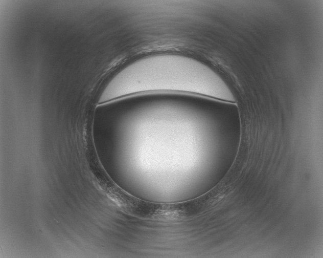 X0000056010260200508190901