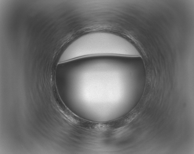 X0000056010261200508190901