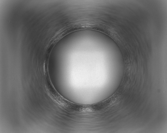 X0000056010262200508190902