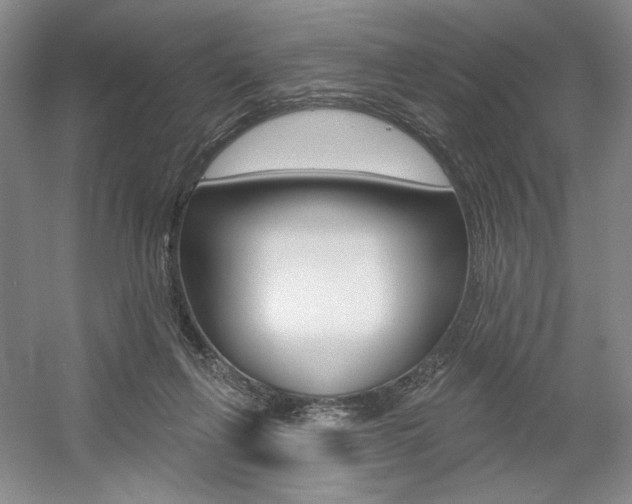 X0000056010263200508190902