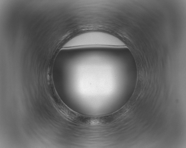 X0000056010264200508190902