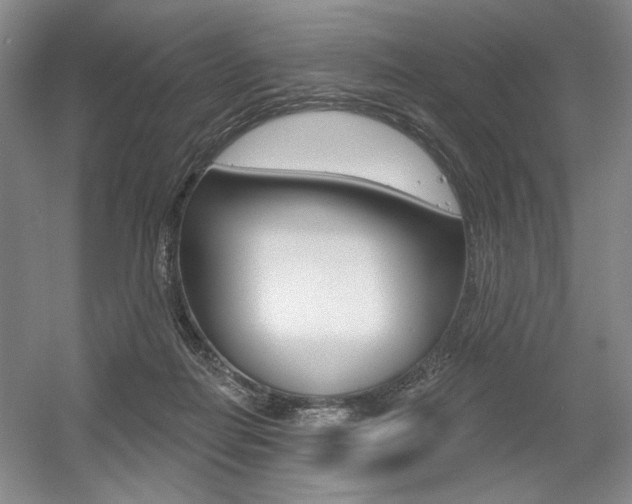 X0000056010266200508190902