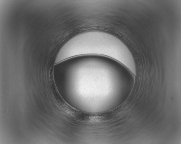 X0000056010268200508190902