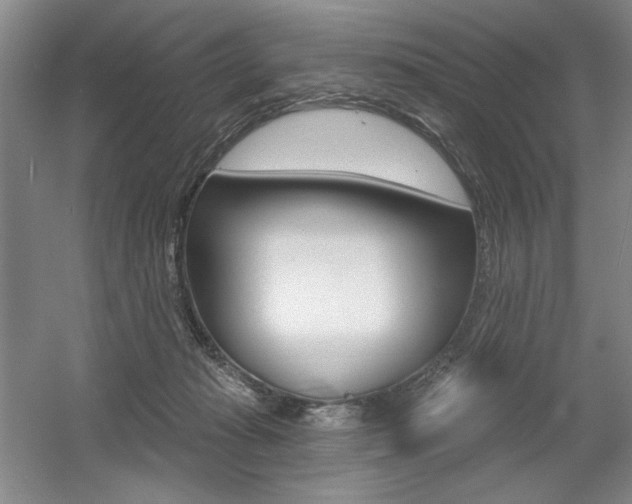 X0000056010269200508190902