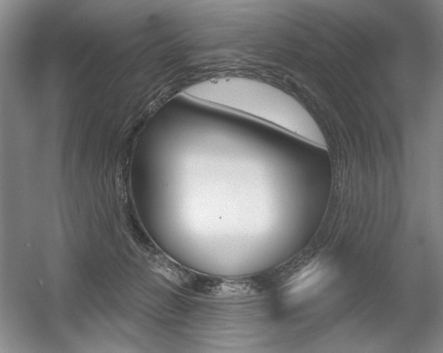 X0000056010270200508190902