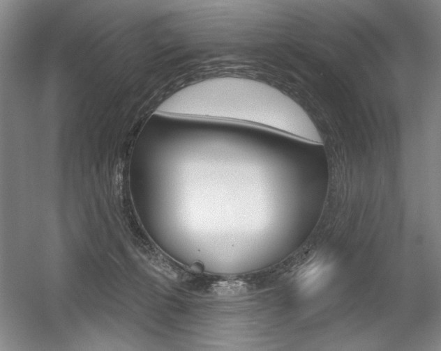 X0000056010271200508190902