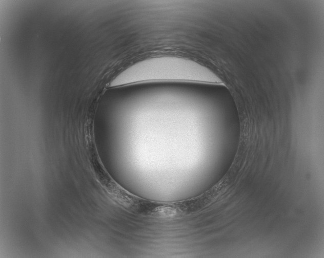 X0000056010272200508190902