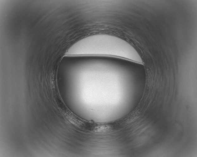 X0000056010274200508190902