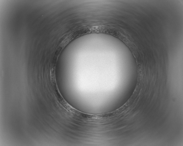 X0000056010276200508190902