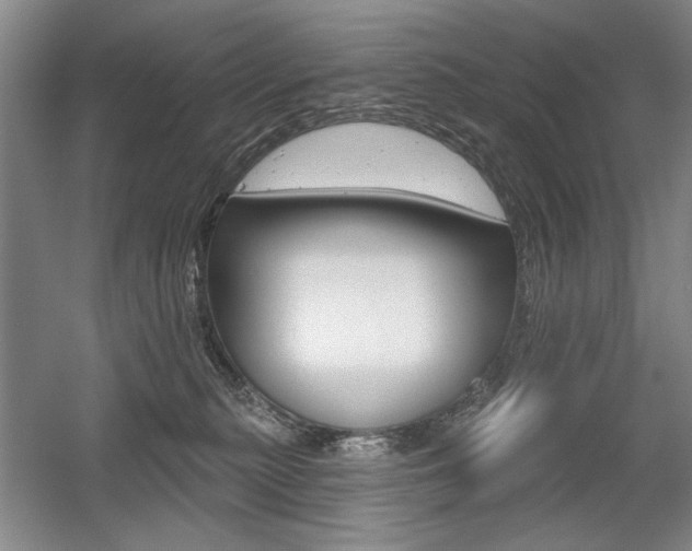 X0000056010279200508190902