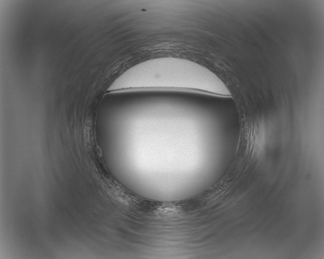 X0000056010283200508190902