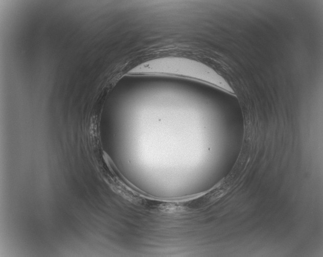 X0000056010284200508190902