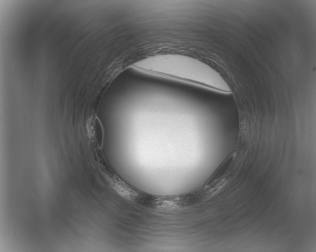 X0000056010285200508190902