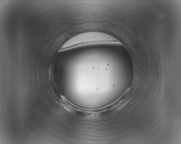 X0000056010288200508190902