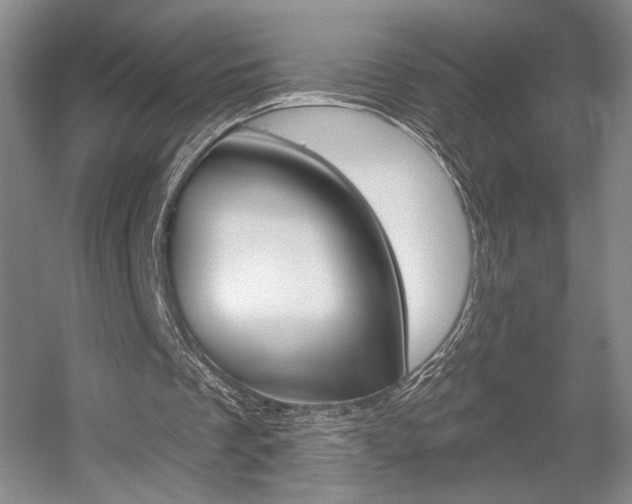 X0000056010289200508190901