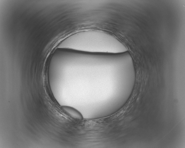X0000056010290200508190901
