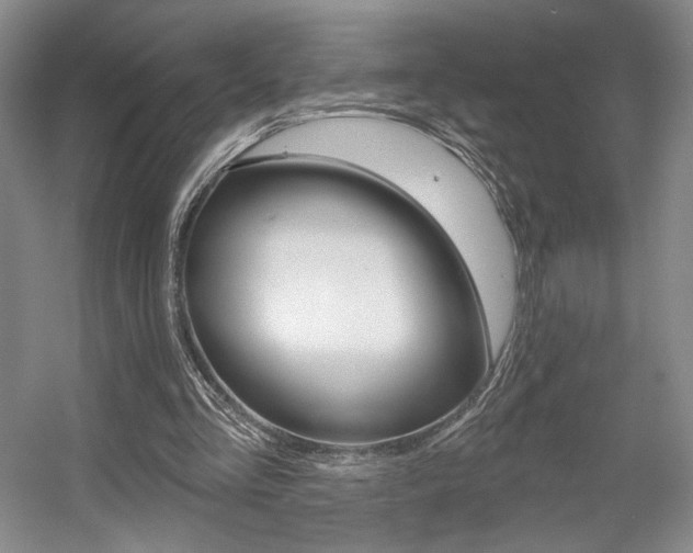 X0000056010293200508190901