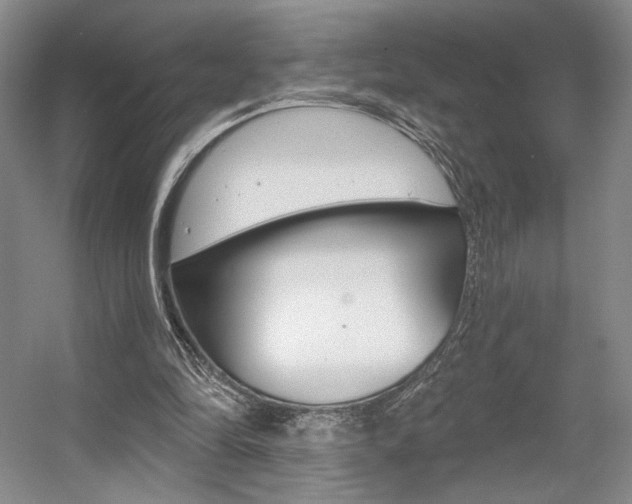 X0000056010294200508190901