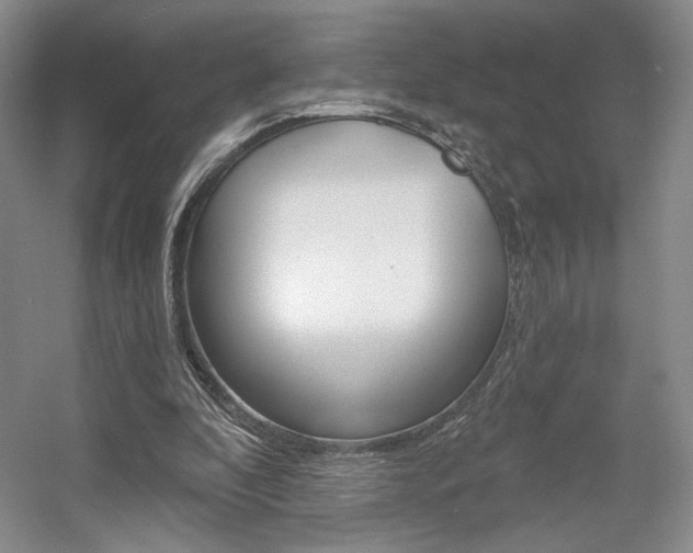 X0000056010296200508190901