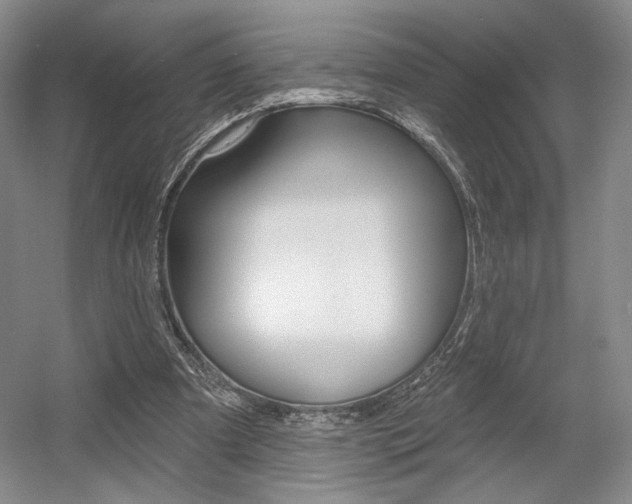 X0000056010297200508190901