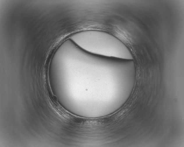 X0000056010298200508190901