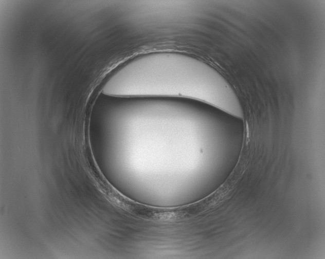 X0000056010301200508190901